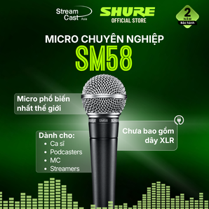Micro Shure SM58